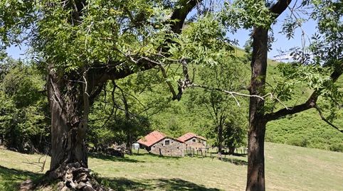 Finca con cuatro cabañas, immagine 2