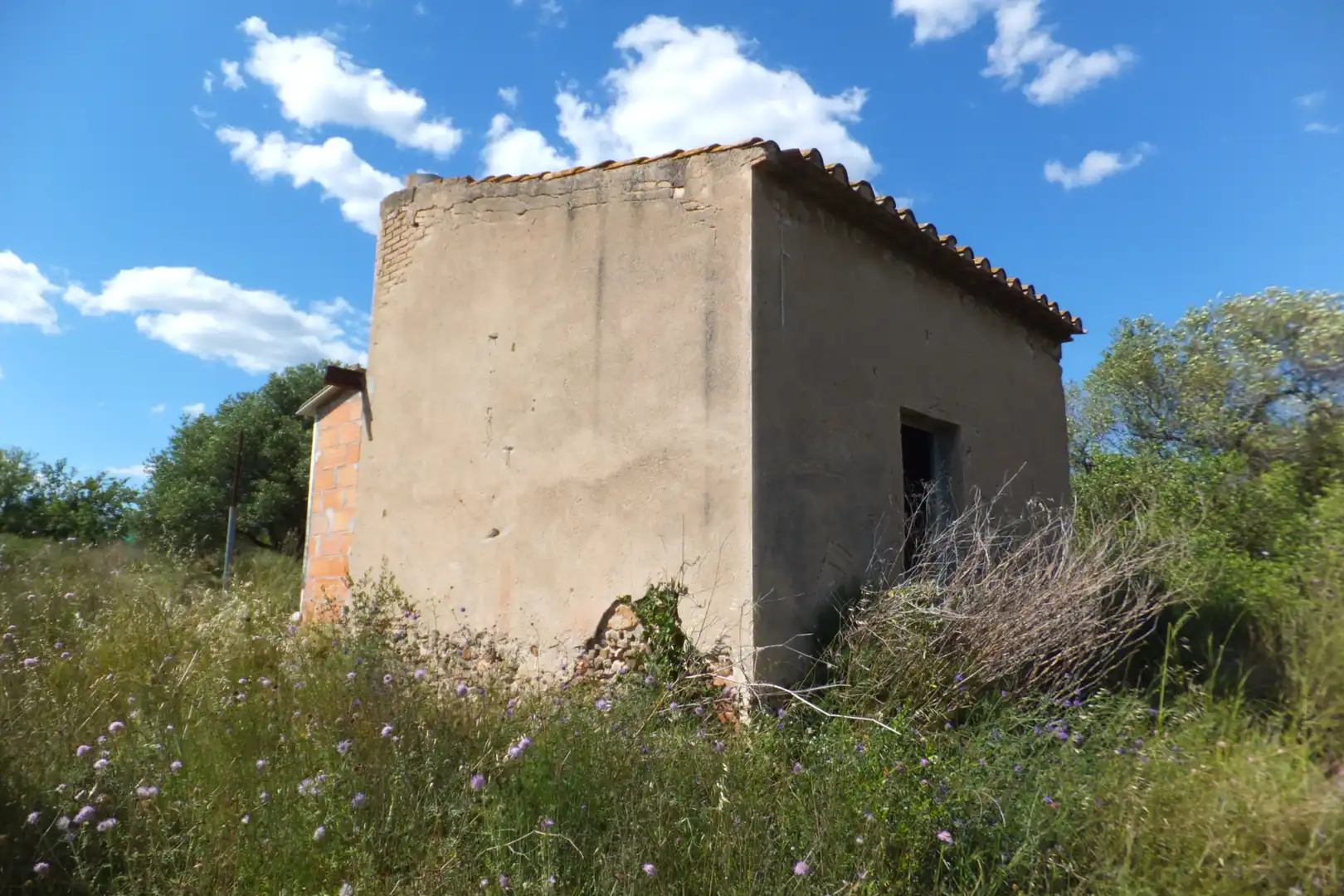 Terreno rústico en venta en Riudoms, imagen 47