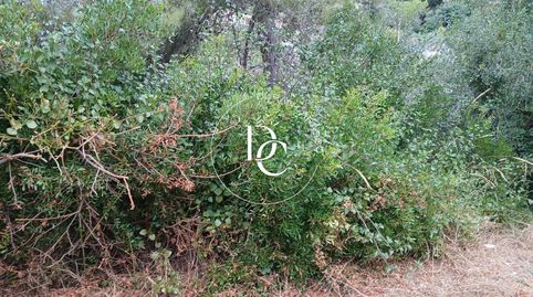 Parcela de 849 m2 en venta en Can Suria, Olivella, immagine 3