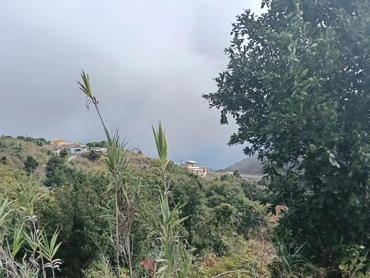 Exterior view of Land for sale in Puntallana