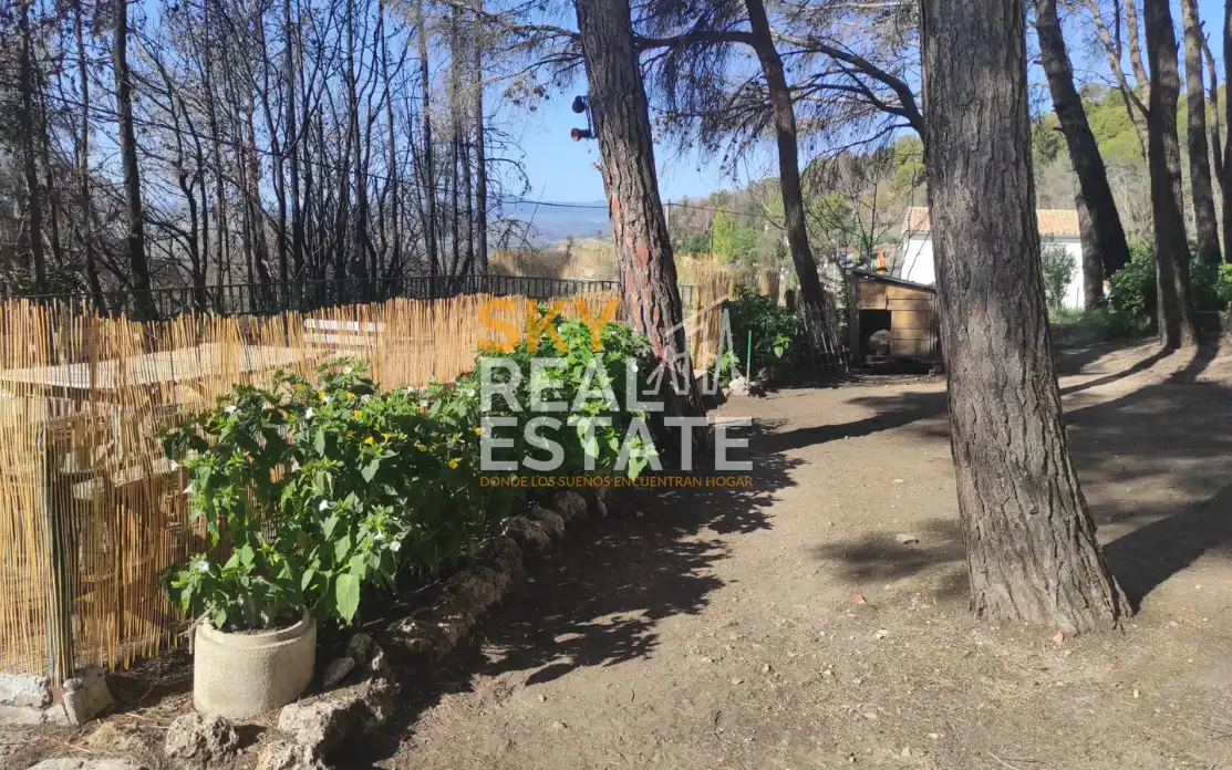 Buildings for sale in Borja