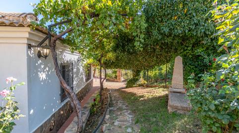 Foto 4 de Finca rústica en venda a Vereda Morollon, La Peza, Granada