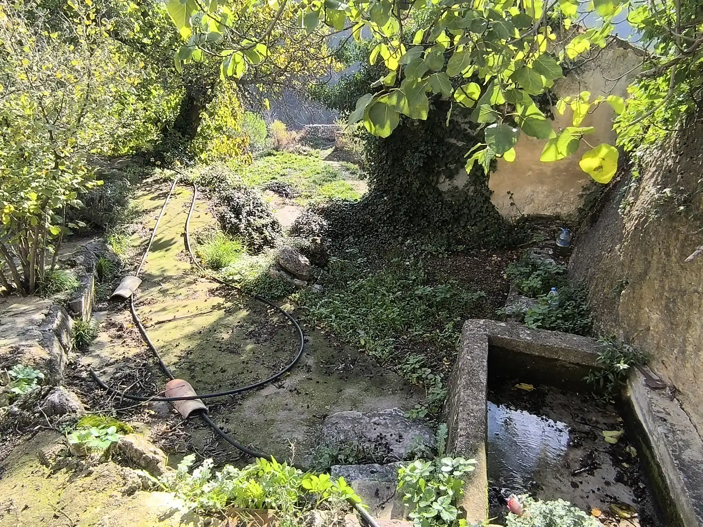Haus oder Chalet zum Verkauf in Casco Histórico