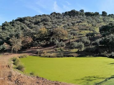 Terreni e lotti in vendita a Periurbano Oeste - Sierra
