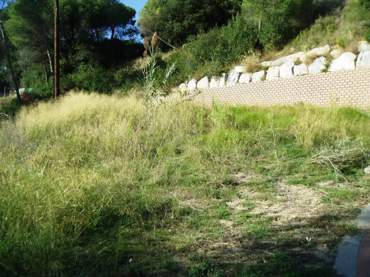 Terreny residencial en venda a Calle Mare de Déu de Montserrat 16, imagen 15
