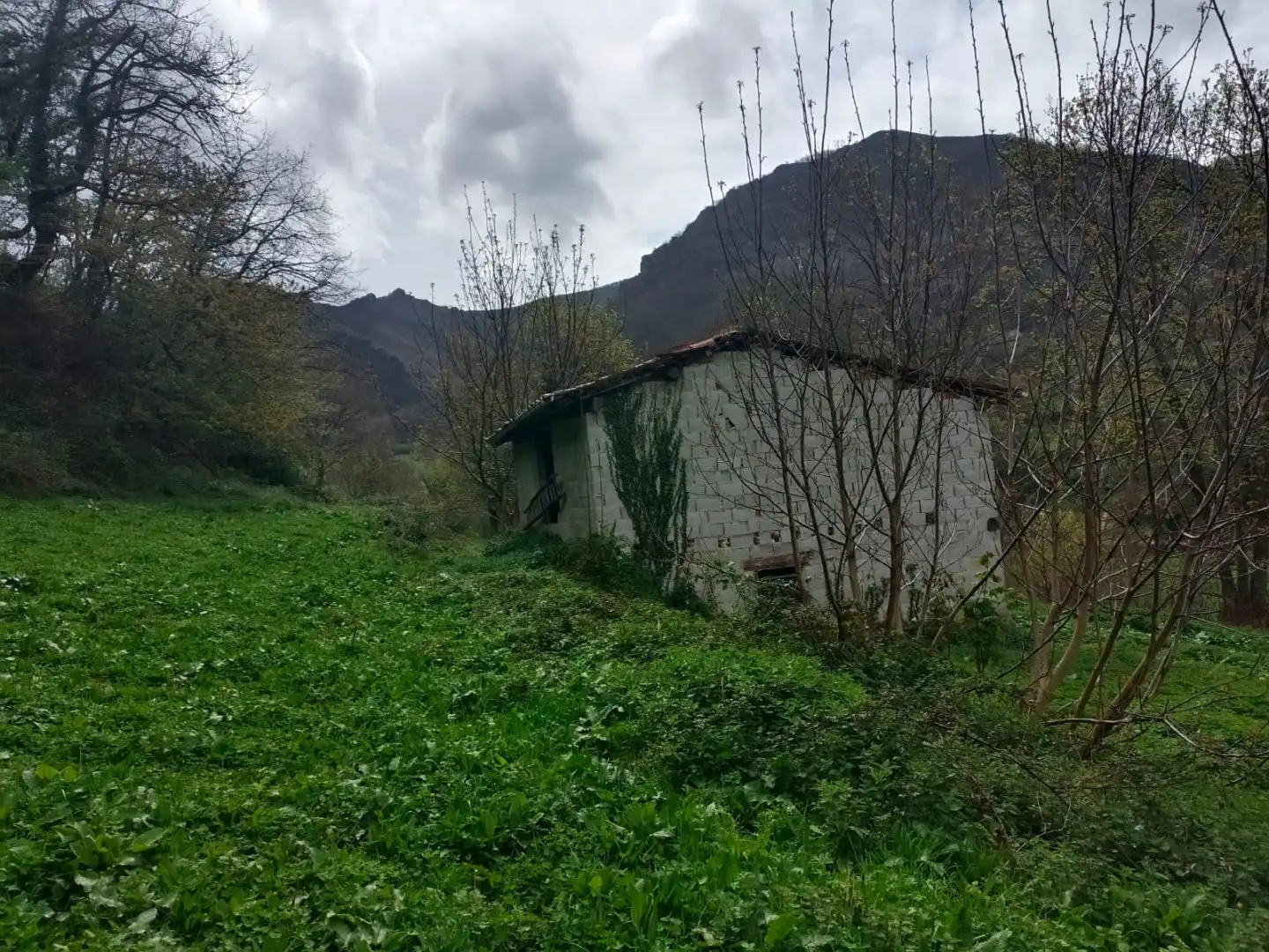 Terreny rústic en venda a Carretera as117 Sn, imagen 4