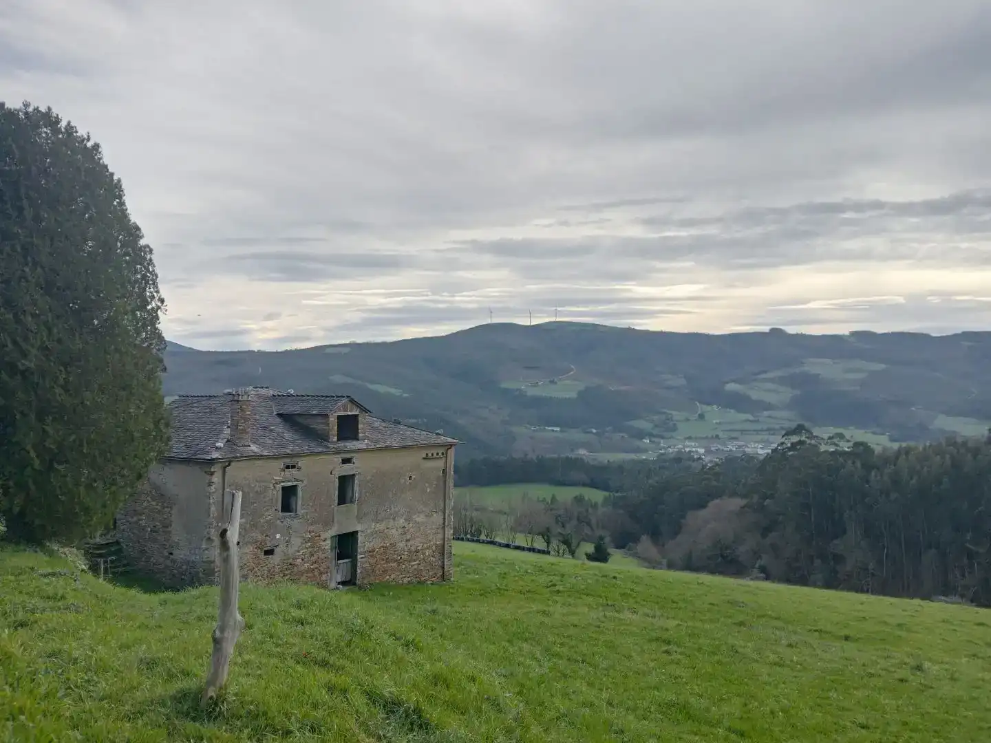 Vista exterior de Finca rústica en venda en San Tirso de Abres
