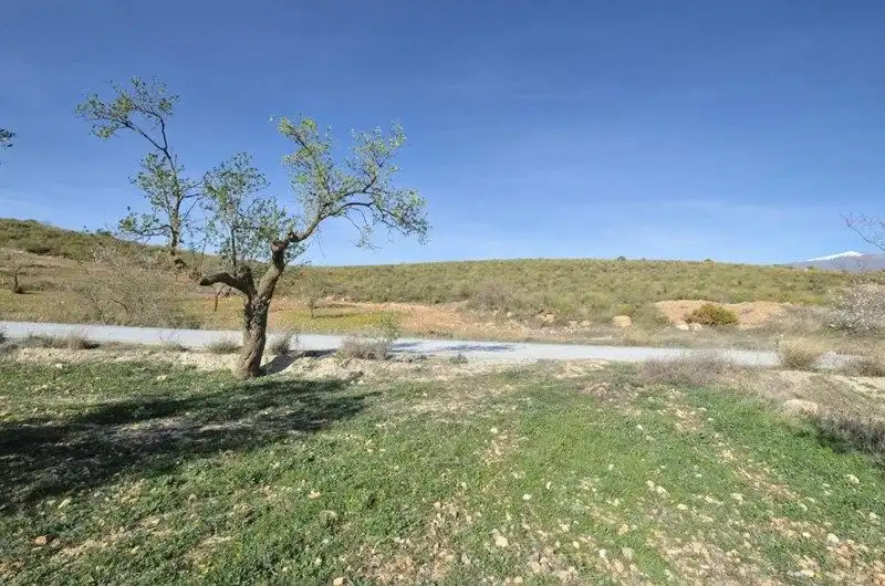 Terreno rustico in vendita a El Valle, imagen 14
