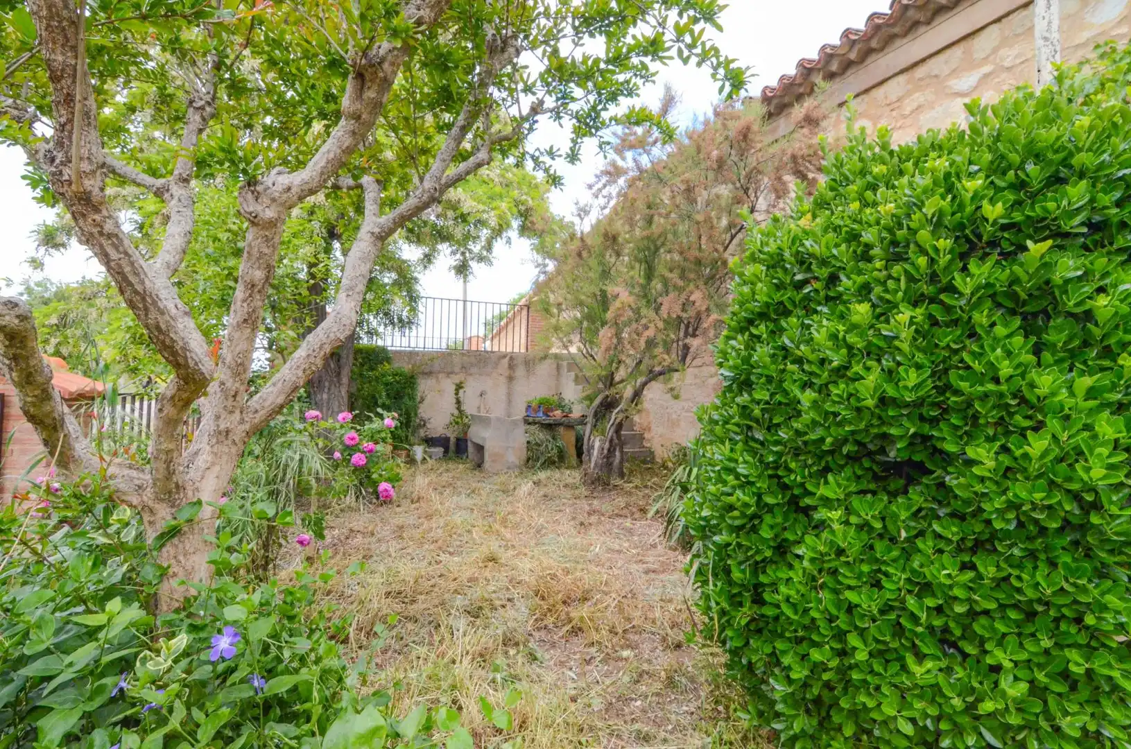 Jardí de Residencial en venda en Doñinos de Salamanca