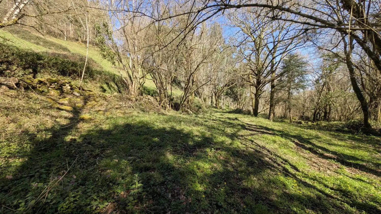 Casa rústica en venta en HIJAS 98, imagen 2