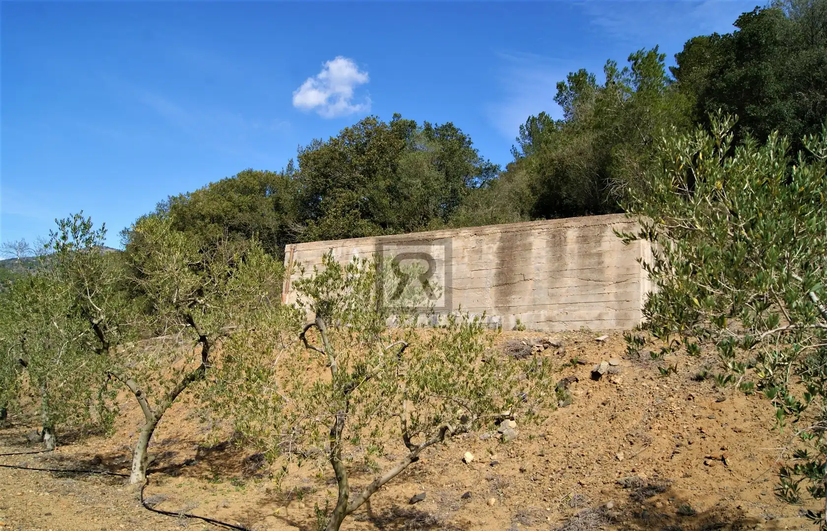 Terreno en venta en T-313, 5, Duesaigües