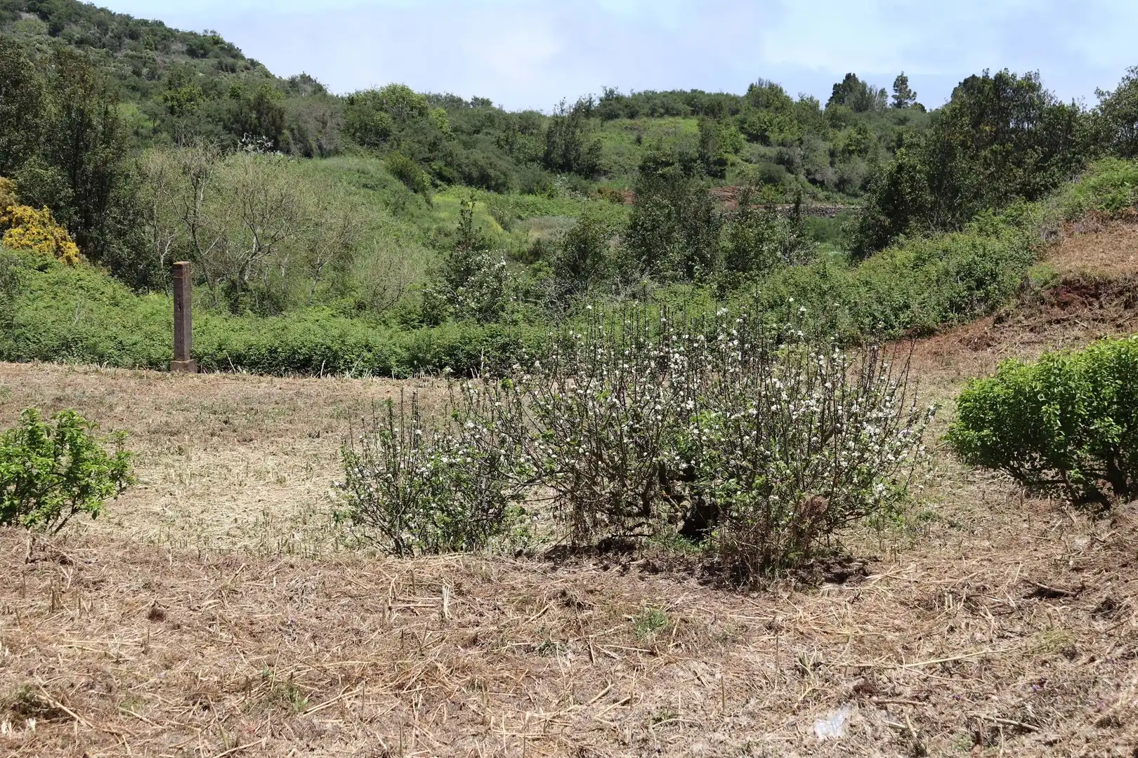 Residencial en venta en Los Silos