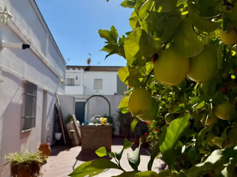 Exterior view of Houses for sale in Bormujos  with Air Conditioner, Terrace and Balcony