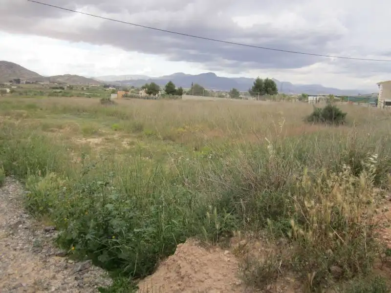 Terreny residencial en venda a Pedanías Este, imagen 3