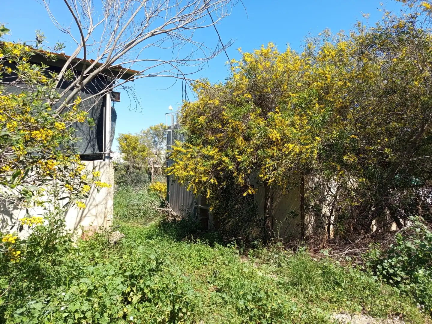 Nave industrial en venta en Fuente Álamo de Murcia