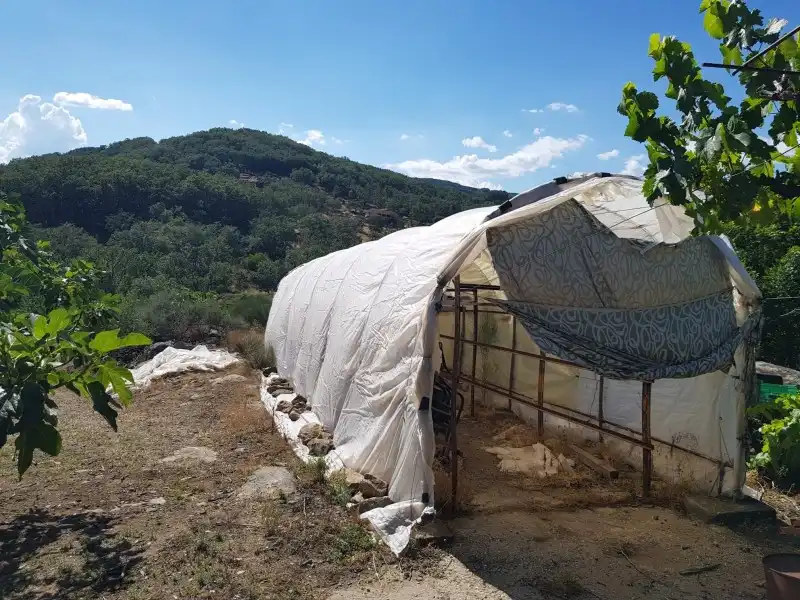 Chalet en venta en Torremenga, imagen 33