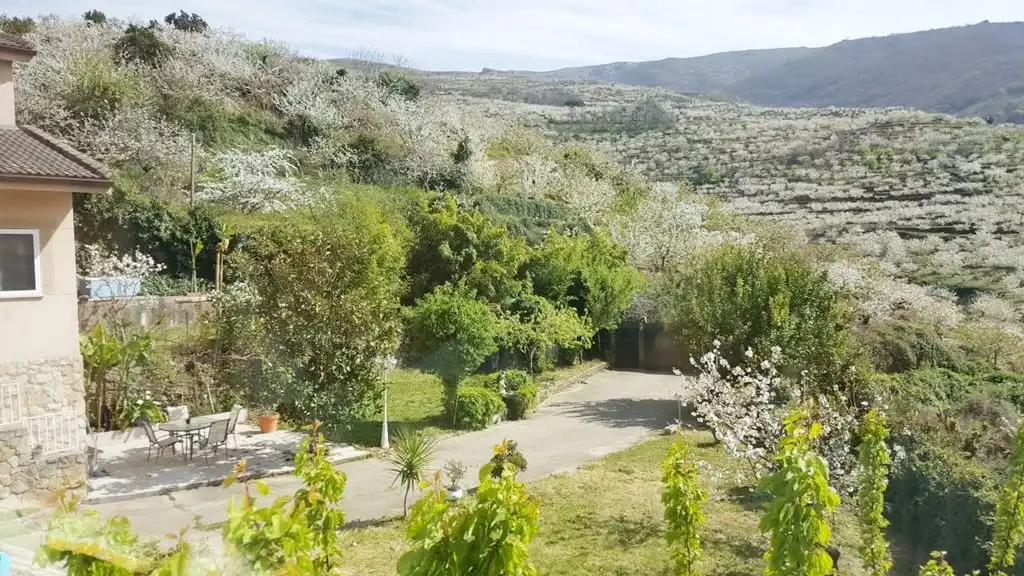 Haus mit Garten zum Verkauf in calle cabezuela, imagen 6
