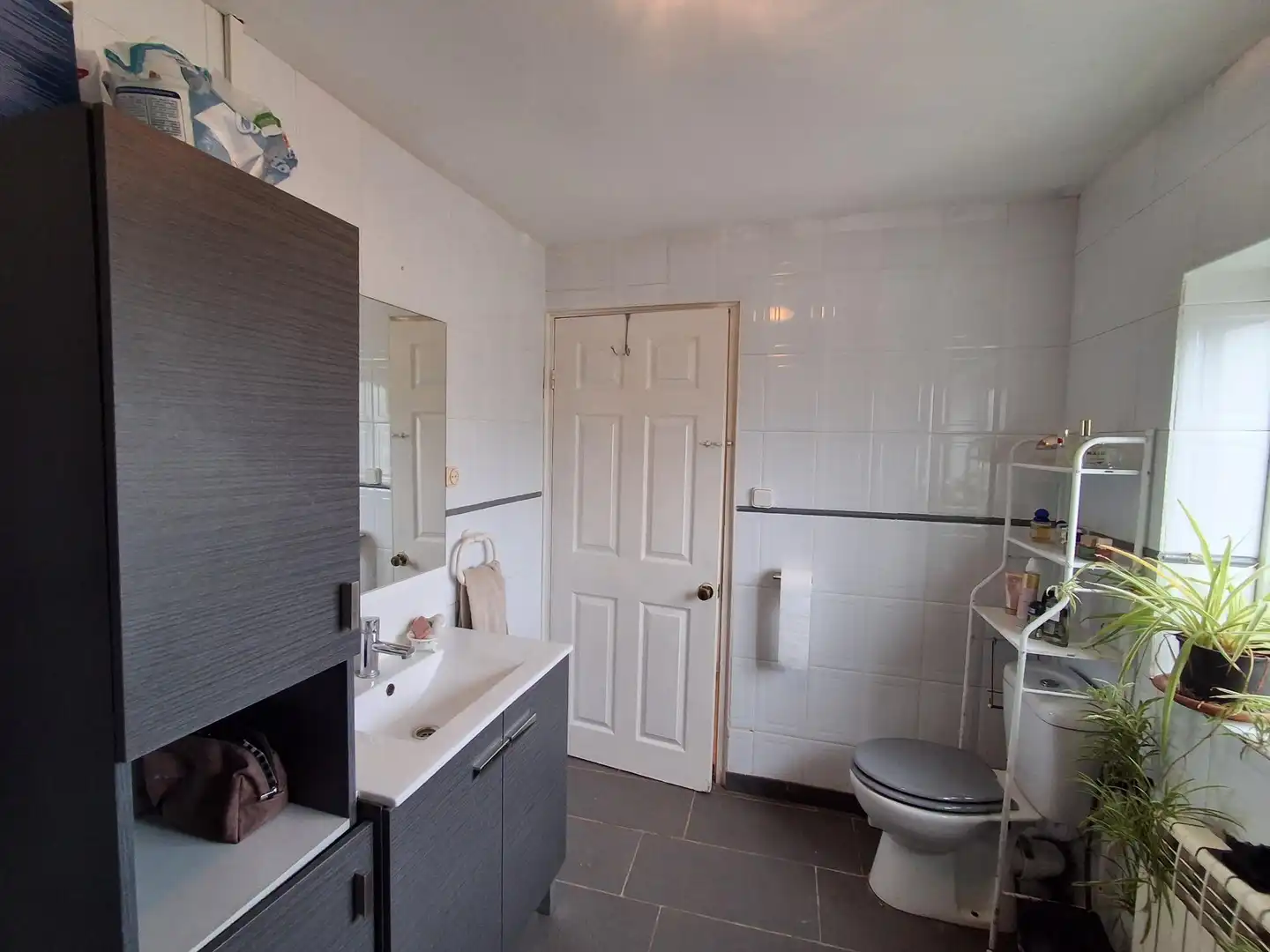 Baño de Casa o chalet en venta en Riba-roja d'Ebre