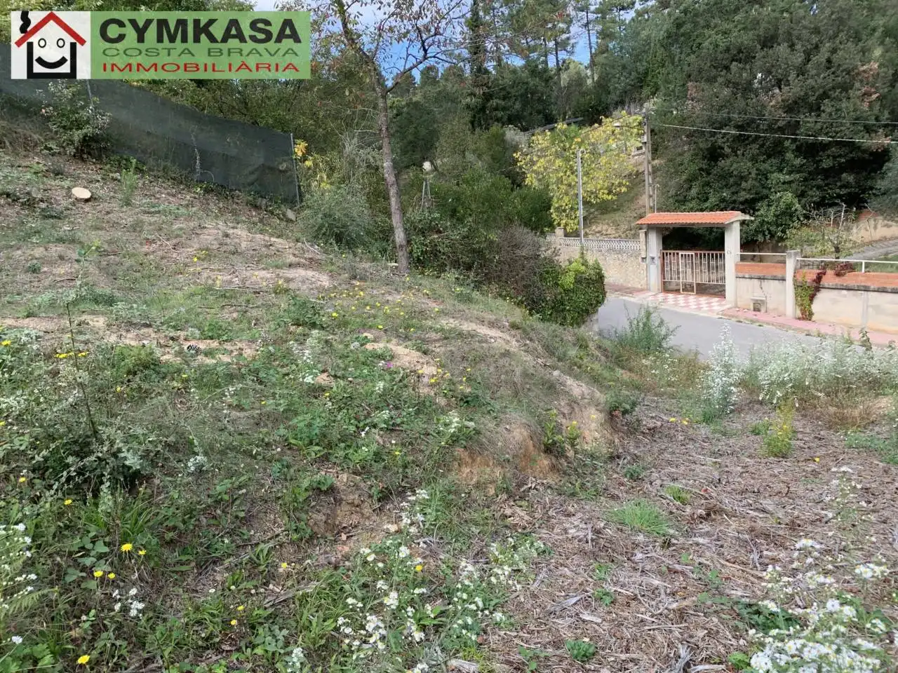 Residential land for sale in Montbarbat, imagen 9