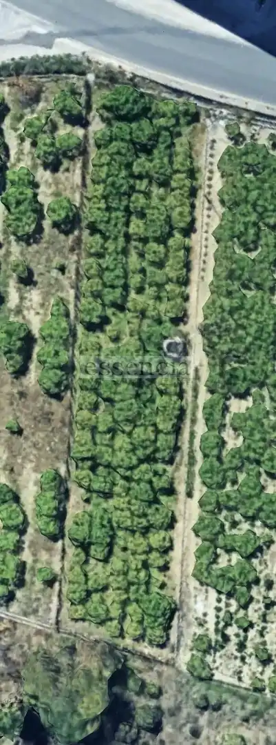 Residential land for sale in Beniarjó, imagen 4
