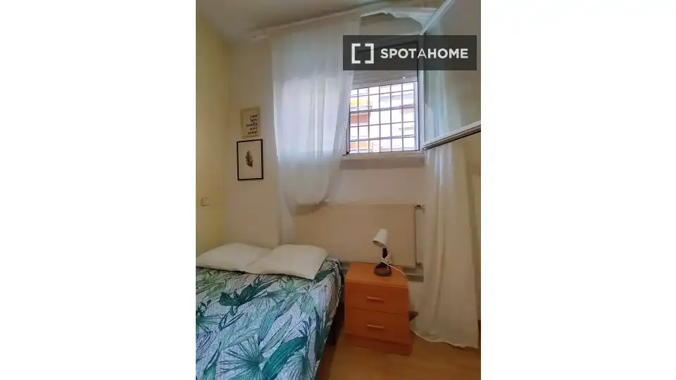 Room in Bellas Vistas