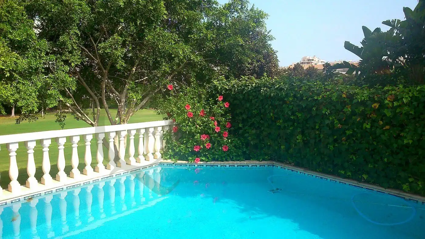 Chalet con terraza en alquiler en Playa de San Juan - El Cabo de las Huertas, imagen 37