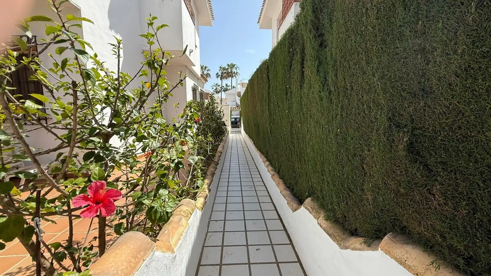 Vista exterior de Casa adosada en venta en Pilar de la Horadada con Terraza, Amueblado y Balcón
