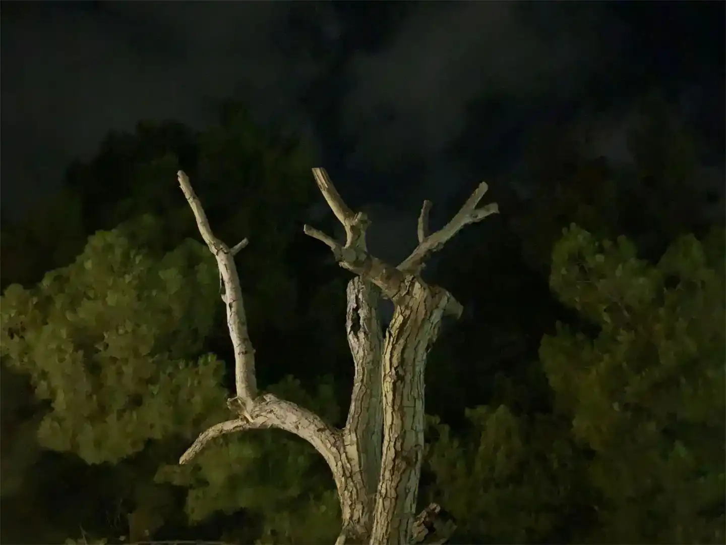 Finca rústica en venda en Gilena amb Aire condicionat i Piscina