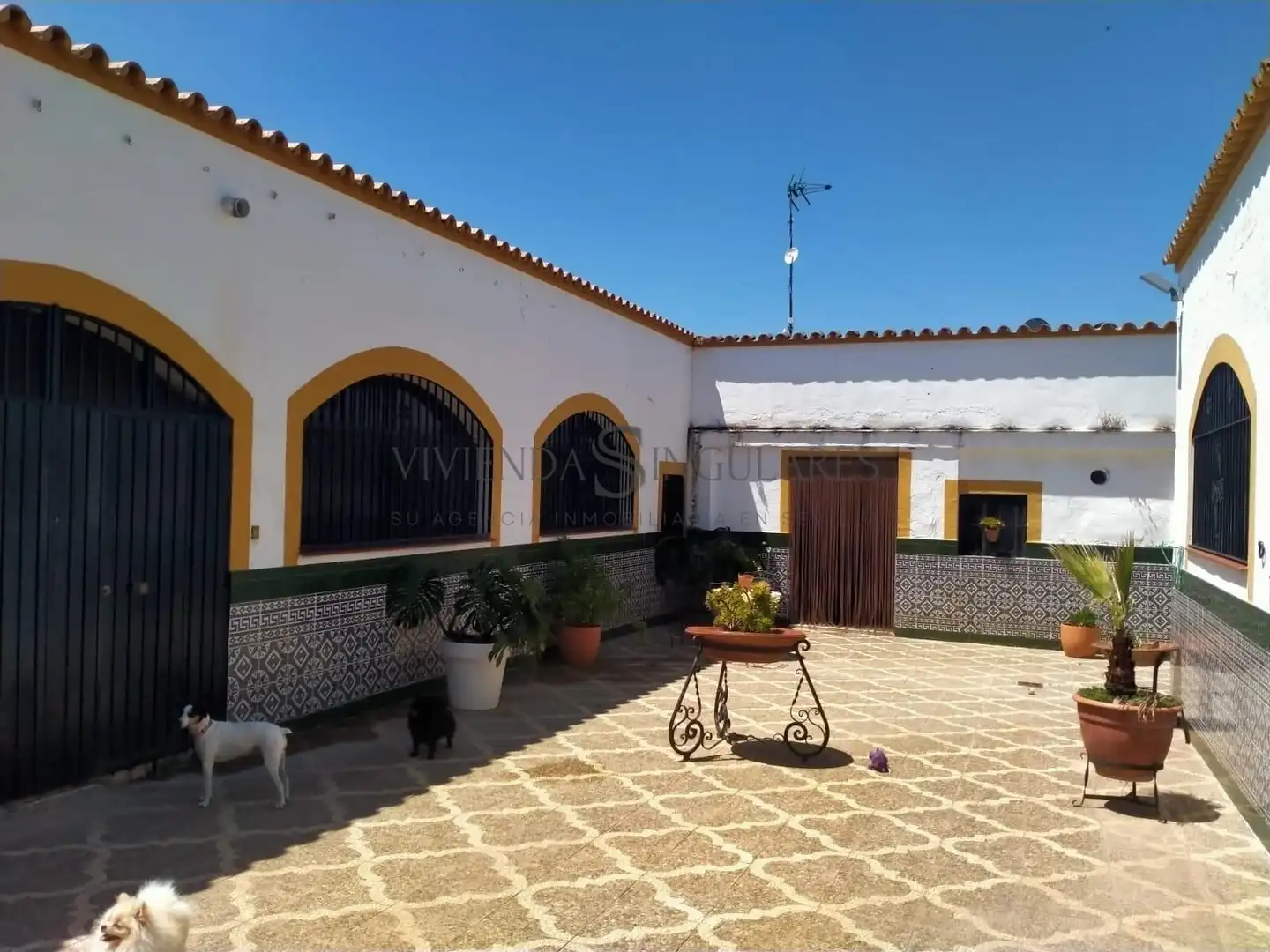 Vista exterior de Finca rústica en venda en Alcalá de Guadaira amb Jardí privat, Traster i Piscina