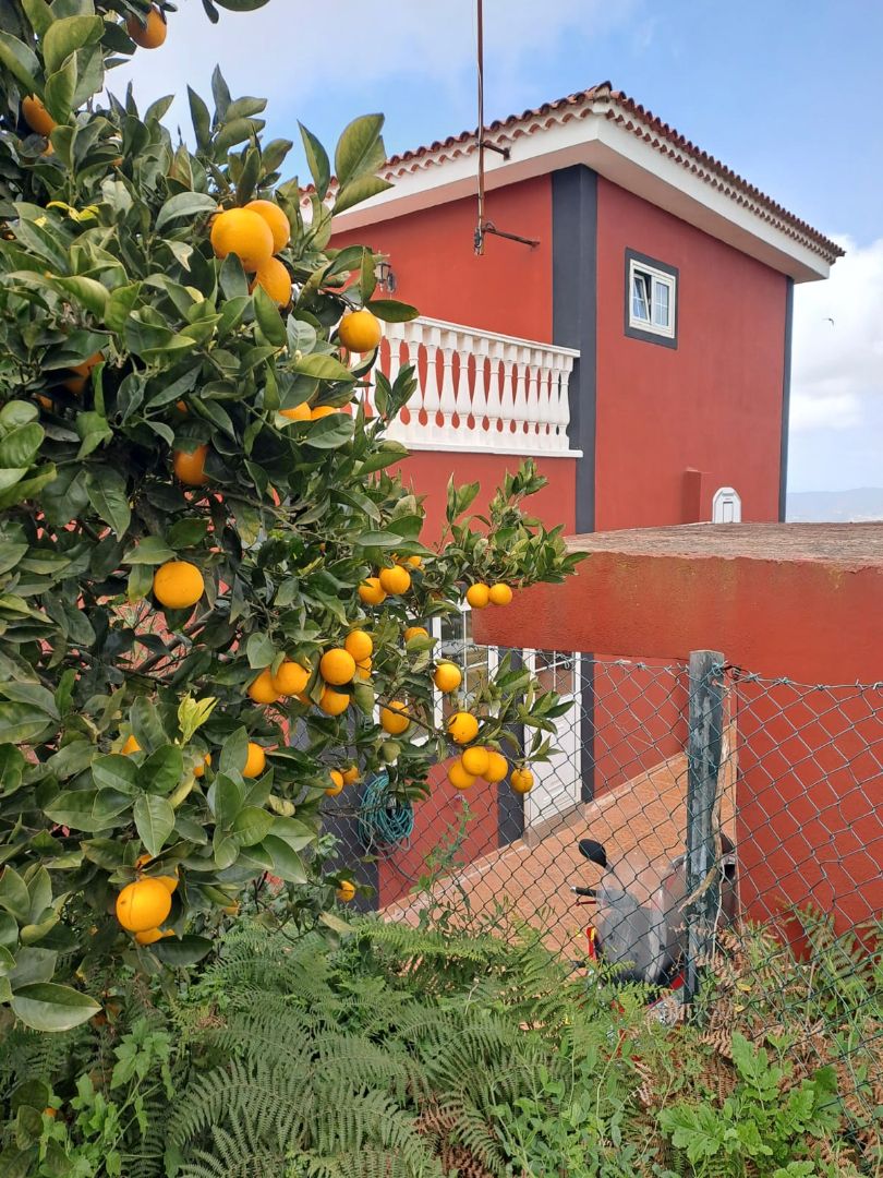 Casa o xalet en venda a La Esperanza - Llano del Moro
