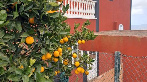 Foto 2 de Casa o xalet en venda a La Esperanza - Llano del Moro, Santa Cruz de Tenerife