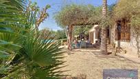 Jardí de Casa o xalet en venda en Mutxamel amb Aire condicionat, Terrassa i Piscina