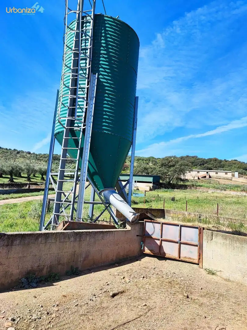 Exterior view of Land for sale in Salvaleón