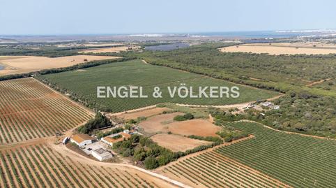 Foto 4 de Finca rústica en venta en Cortijo Carvajal, El Almedral, Cádiz