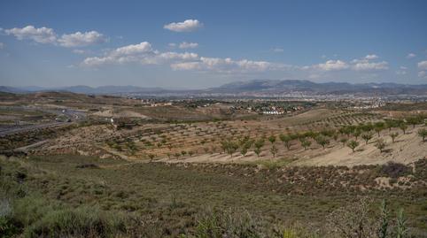 Foto 3 de Terreno en venta en  Alhendín, Ayuntamiento, Alhendín