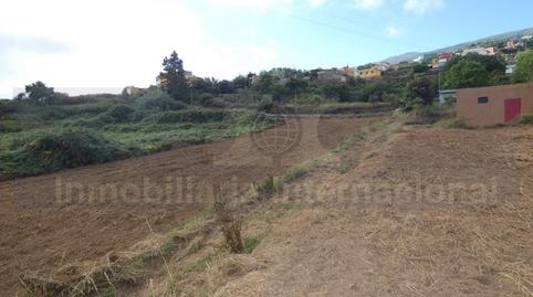 Foto 5 von Grundstücke zum Verkauf in Palo Blanco, Los Realejos