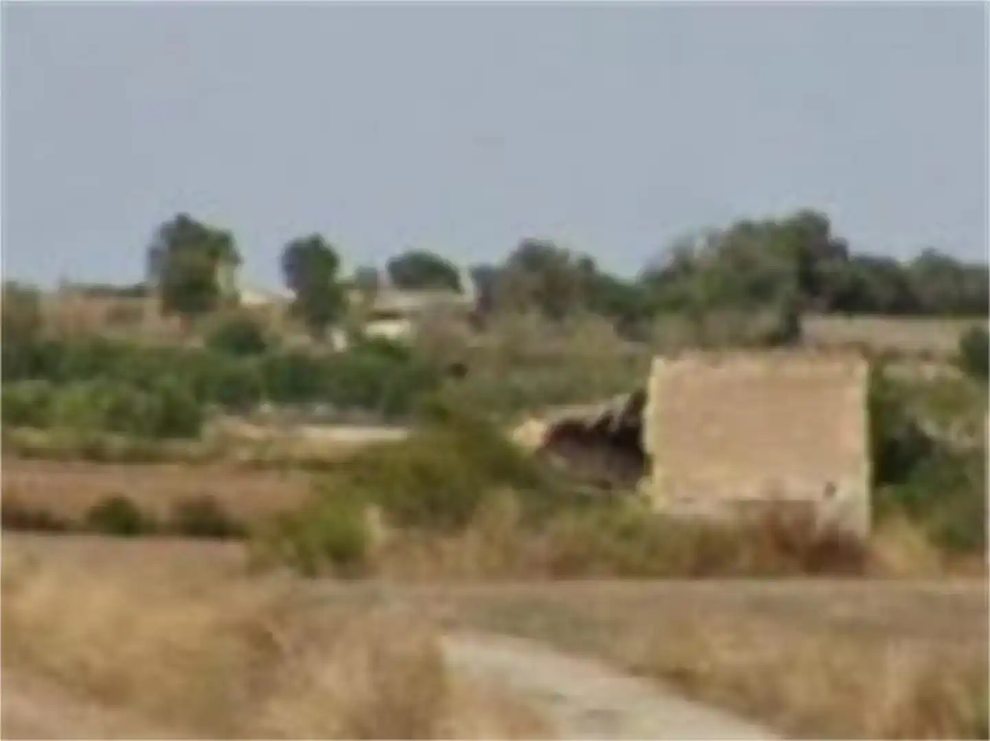 Finca rústica en venda en Santa Margalida