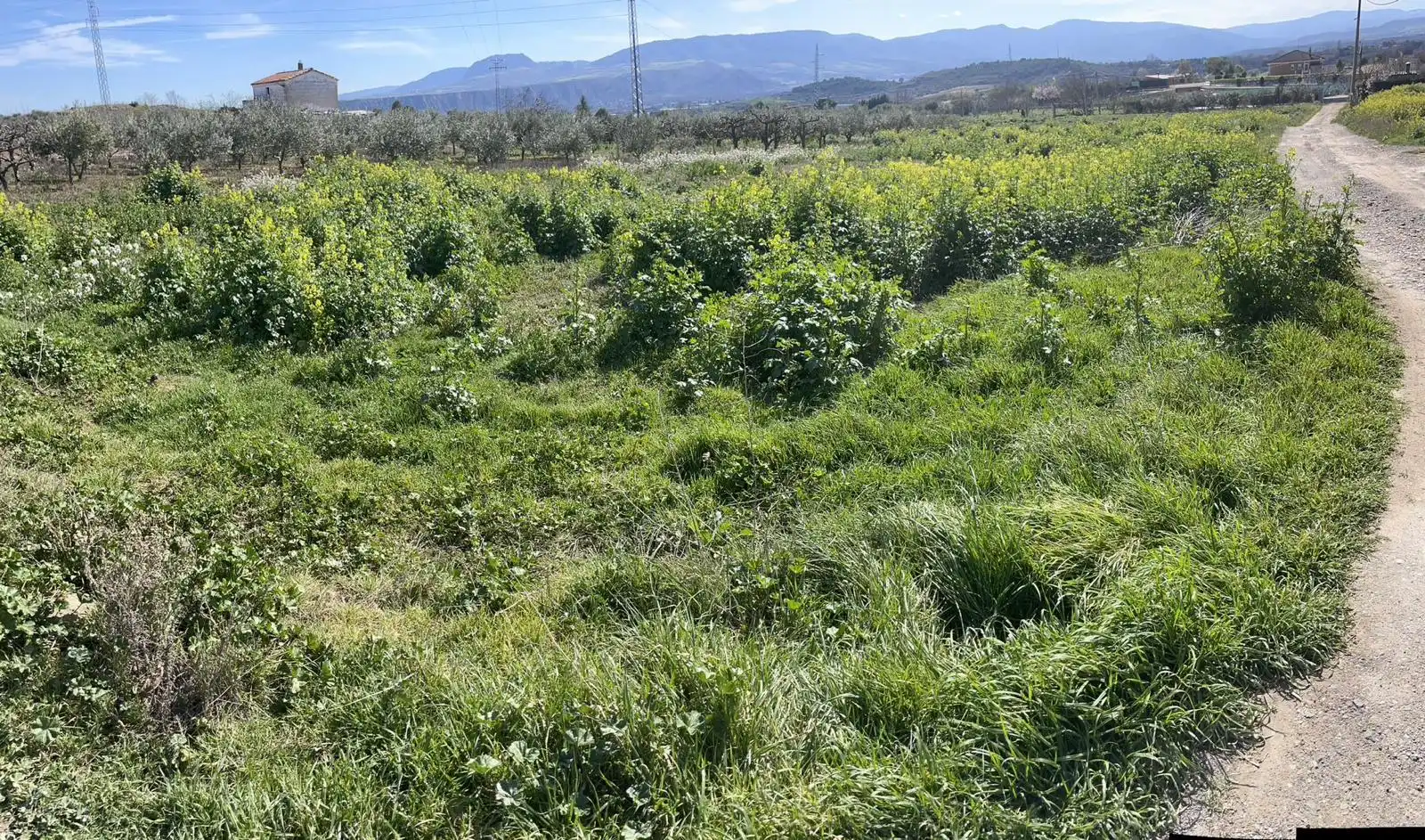 Lands and plots for sale in Lardero