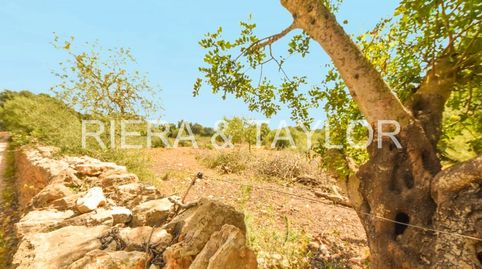 Foto 3 de Terreno en venta en Cales de Mallorca, Manacor