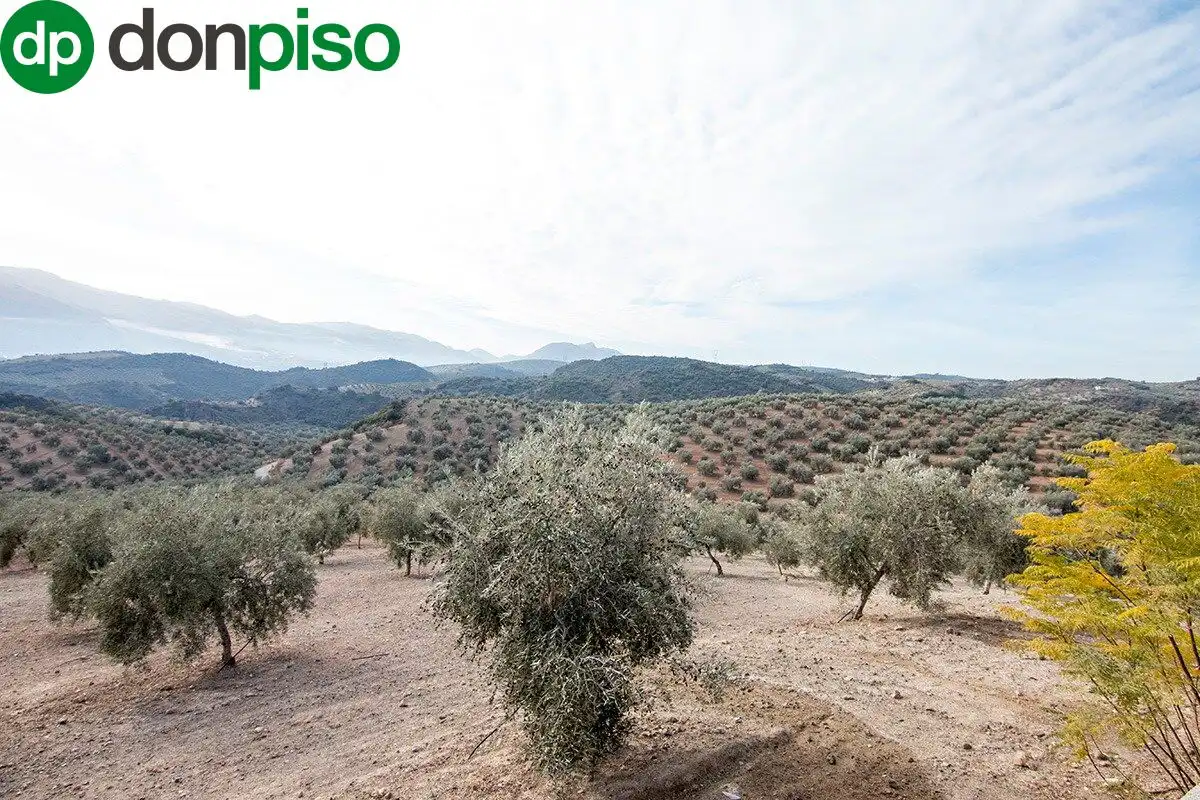 Casa rústica en venda a CORTIJO LA BARRAGANA, imagen 14