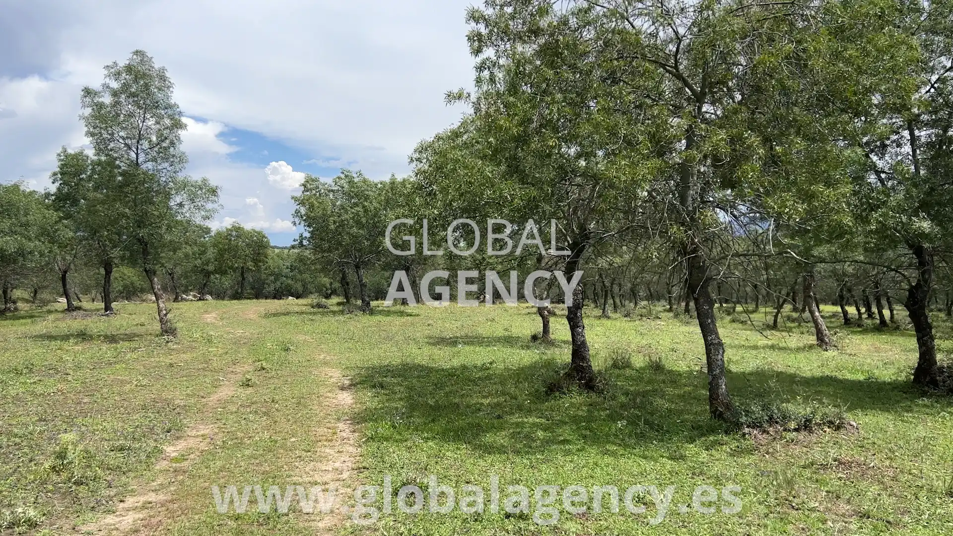 Rural land for sale in Soto del Real, imagen 6