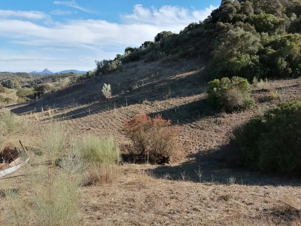 Residential for sale in Morón de la Frontera