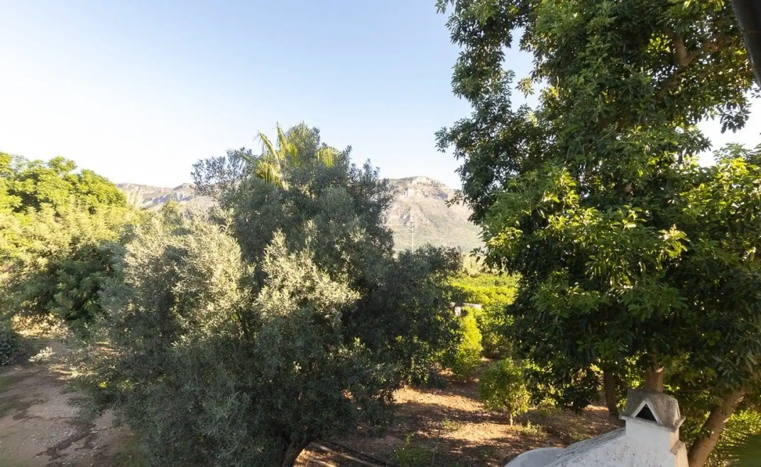 Terrain rustique à vendre à Benifairó de la Valldigna - HORTA, imagen 43