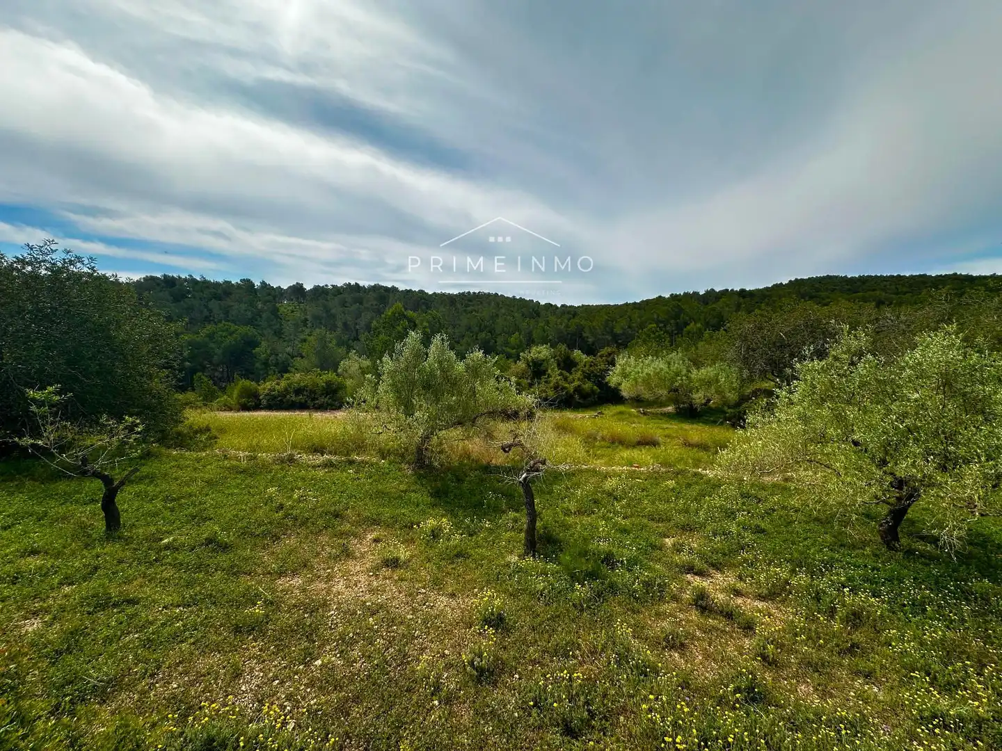 Terreno rústico en venta en Tivissa, imagen 48
