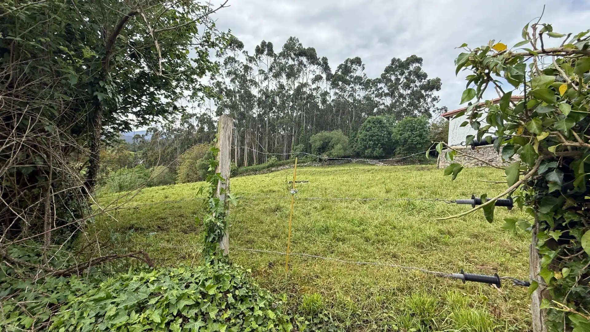 Terreno en venta en Valdáliga