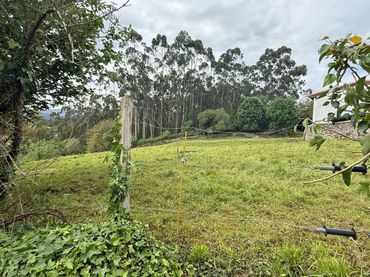 Terreno rustico in vendita a Barrio LA LINDE 11