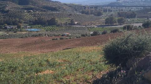 Photo 5 of Country house for sale in Valle de Abdalajís, Málaga