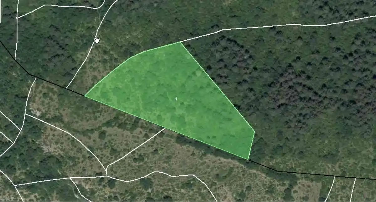Terreno en venta en Esparza de Salazar / Espartza Zaraitzu