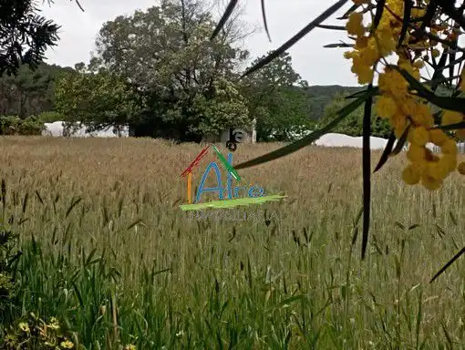 Finca rústica en venta en Almonte