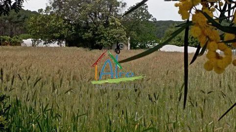 Foto 3 de Finca rústica en venta en Almonte ciudad, Almonte
